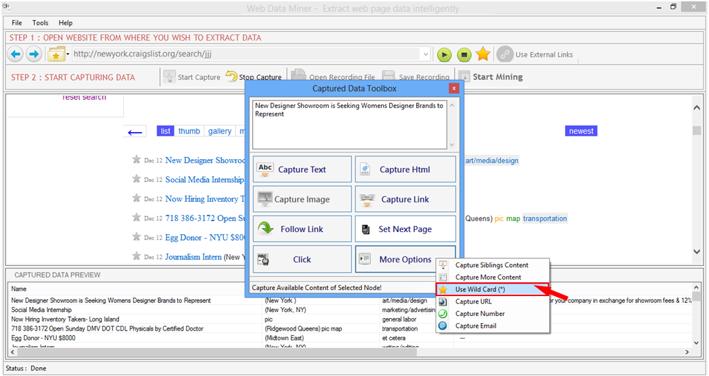 Web Data Miner Web Data Miner