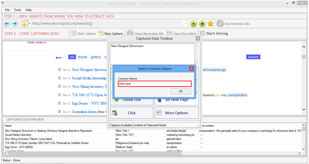 Web Data Miner Web Data Miner