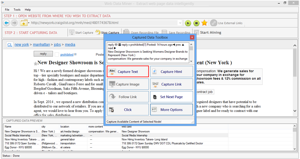 Web Data Miner Web Data Miner