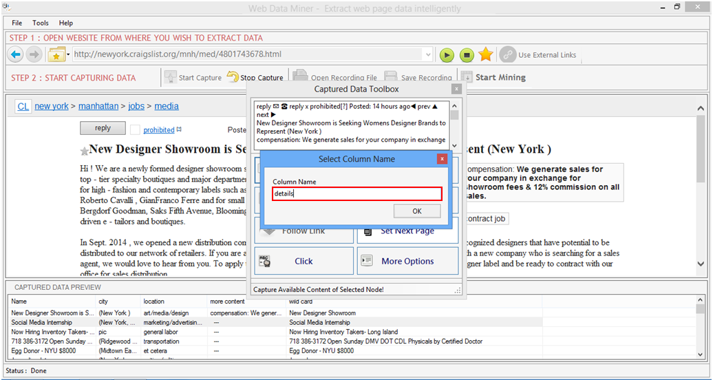 Web Data Miner Web Data Miner