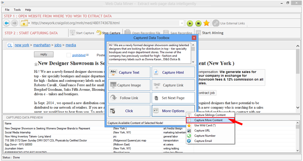 Web Data Miner Web Data Miner